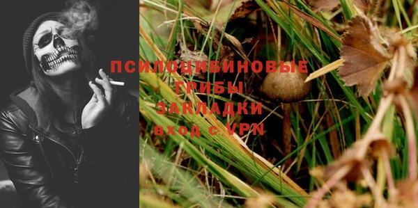 амф Костерёво