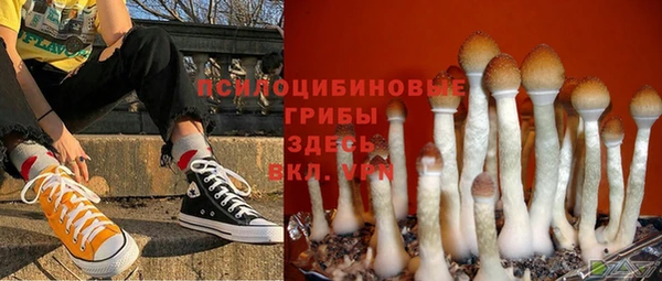 сатива Краснослободск
