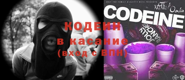 сатива Краснослободск