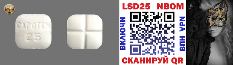 Купить закладки  Отрадный  LSD-25 экстази ecstasy 