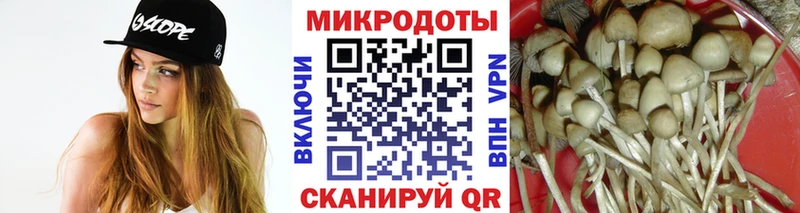 Купить закладки  Отрадный  Галлюциногенные грибы прущие грибы 
